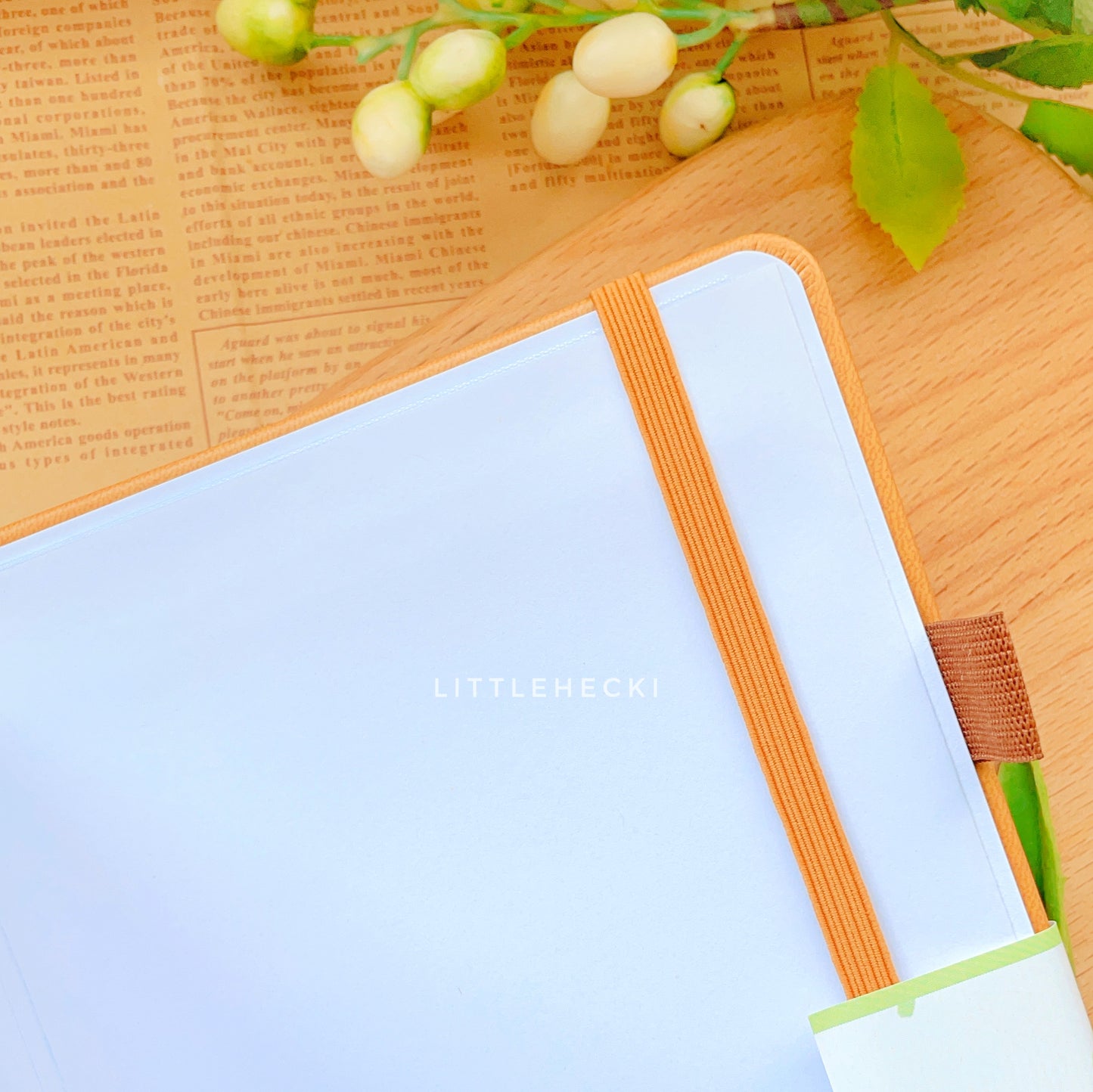 Cosy Studying With Beary Bullet Journal